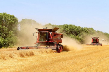 Минсельхоз США предсказал России один из крупнейших урожаев пшеницы